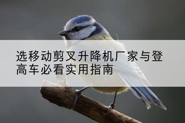 沧县电动升降机厂家-选移动剪叉升降机厂家与登高车必看实用指南