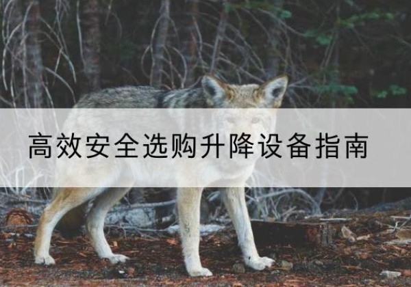 沧县升降货梯厂家推荐-*安全选购升降设备指南