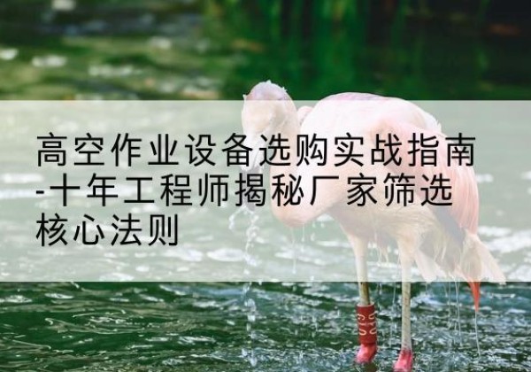 沧县剪叉式升降机厂家-高空作业设备选购实战指南-十年工程师揭秘厂家筛选核心法则